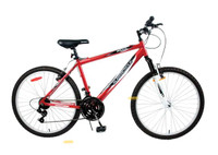 Supercycle Adult 26-in