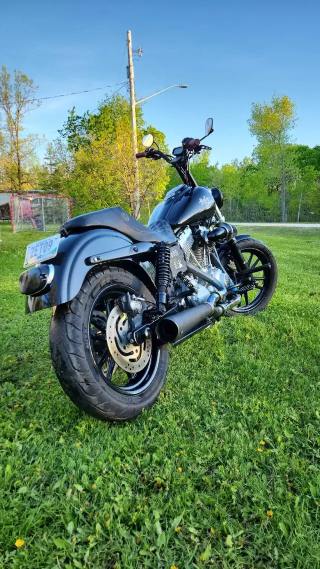 2009 harley Davidson dyna in Street, Cruisers & Choppers in Winnipeg - Image 3