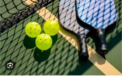 Sub pickle ball player for no shows, View more