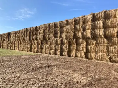 Hay for sale, View more