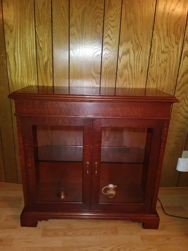 Display cabinet (Markham rd. south of 401) in Hutches & Display Cabinets in City of Toronto - Image 11