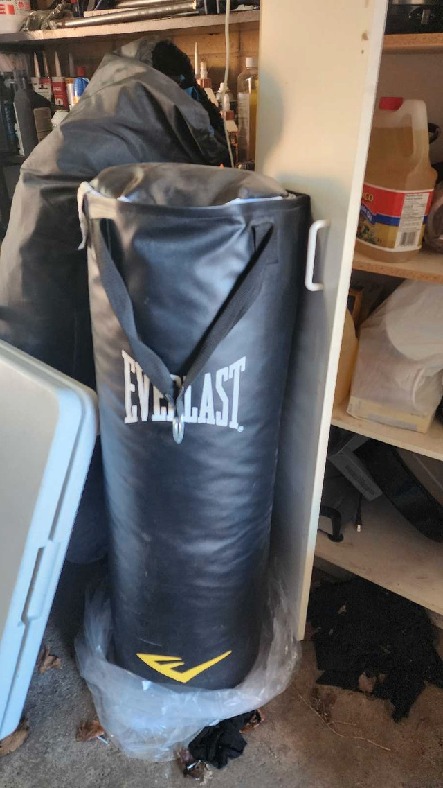 Everlast heavy punching bag - $60 OBO in Exercise Equipment in City of Toronto