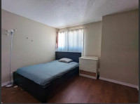 Private room available in Halifax downtown