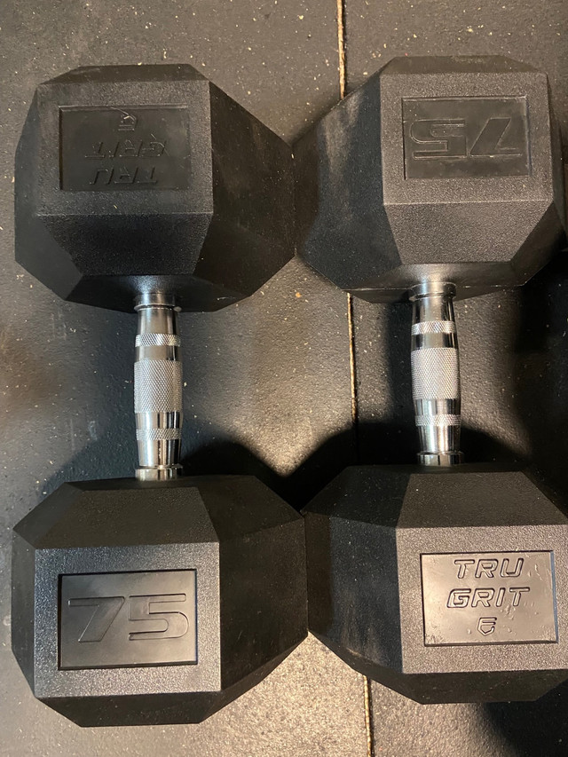 DUMBBELLS FOR SALE - PICKERING  in Exercise Equipment in City of Toronto - Image 2