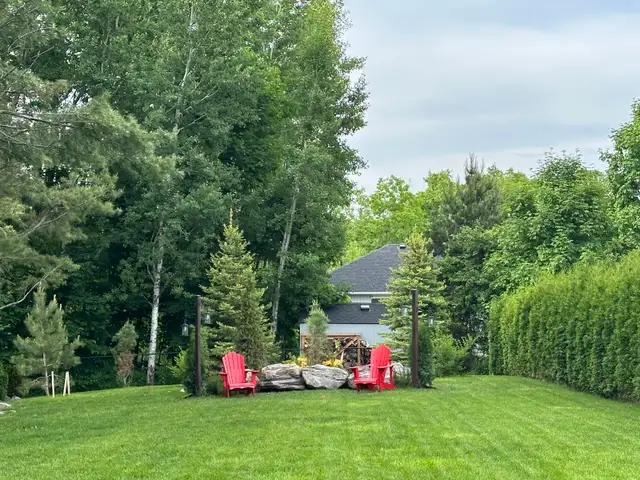 Grass Cutting Services494957949135114242