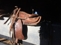 harness and saddles