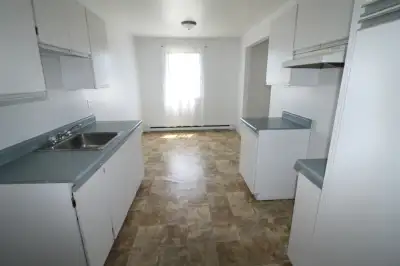 Grands , jolies, propres et tranquilles, libres pour 1 AVRIL : 4-1/2 (TAPIS) avec balcon prive , pou...