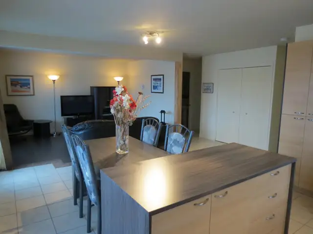 Maison à louer 6 1/2(3 chambres) court terme tout inclus in Long Term Rentals in Saguenay - Image 4