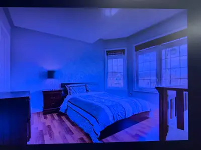 Room for rent