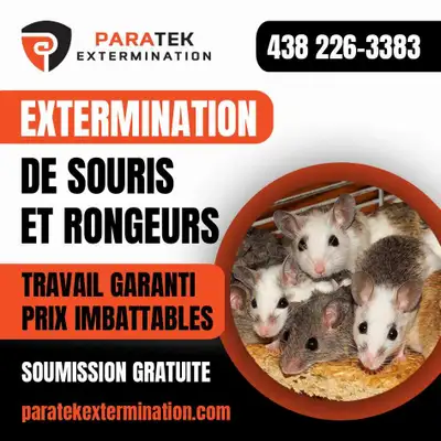 Vous entendez des grattements ou avez trouvé des traces de rongeurs ? Ne laissez pas l'infestation s...