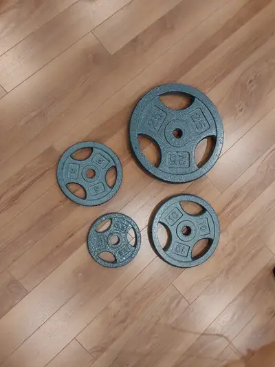 52 ads for weight plates in Exercise Equipment in Ottawa Kijiji Marketplaces