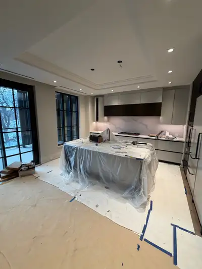 Professional painter available, View more