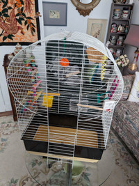 Cage d'oiseaux 