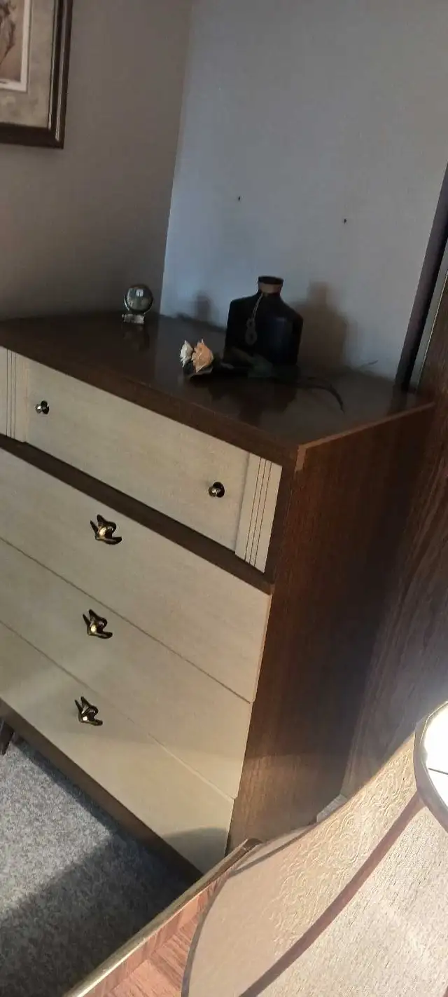 Very Cool Retro Tallboy Dresser - Free City Delivery! in Dressers & Wardrobes in Kingston - Image 3