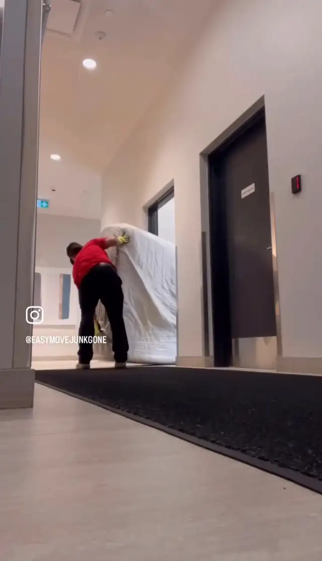 ¿Necesita ayuda para mudarse, mover muebles o despejar espacio?63284941521665121