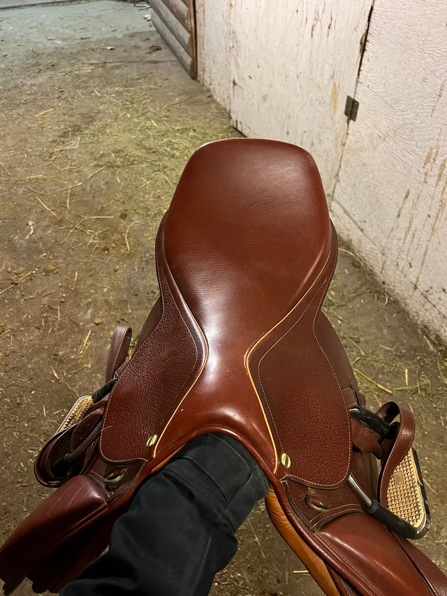 HDR advantage saddle  in Equestrian & Livestock Accessories in La Ronge - Image 2