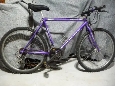 Phoenix Ditch Pig , Commuter / MTB Bike ., View more