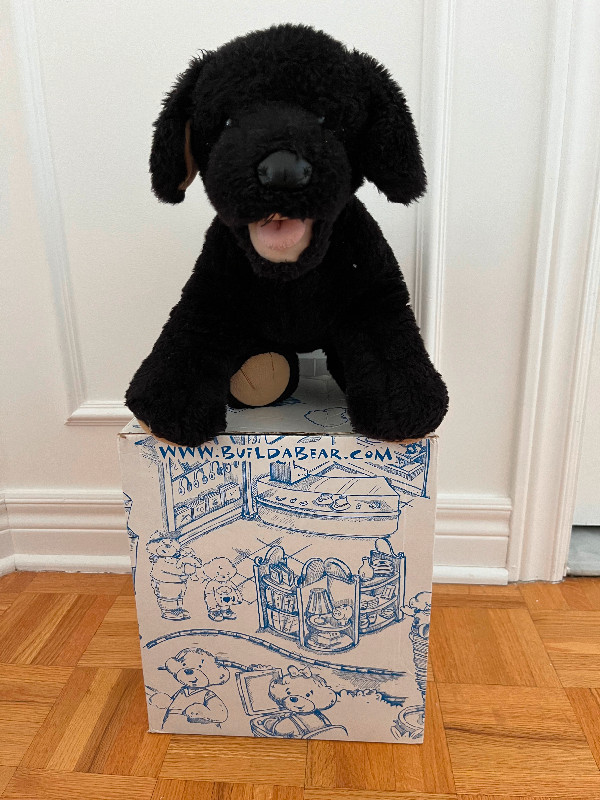 Build a Bear Labrador Black Puppy + accessories + clothing dans Jouets et jeux  à Ville de Montréal - Image 4