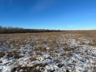 Pasture Land For Sale