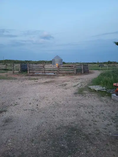 pasture for rent