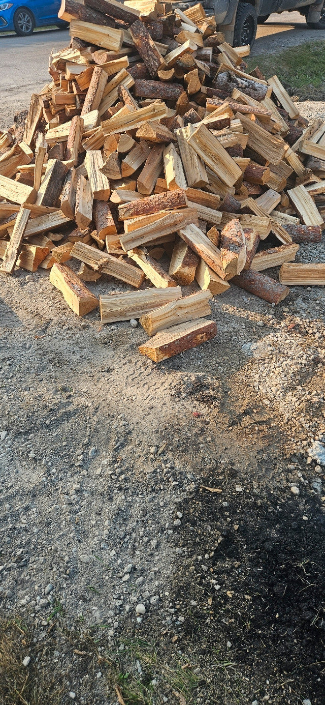 Firewood for sale Tamarack  in Fireplace & Firewood in Winnipeg - Image 3