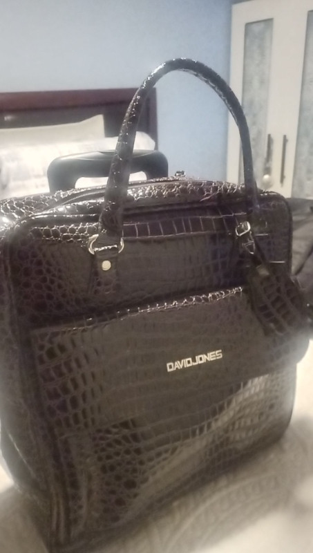 David Jones Carry On Bag in Women's - Bags & Wallets in Kawartha Lakes
