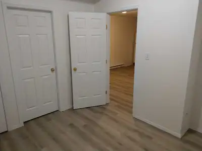 Ground Level Basement suite