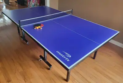 Matrix Ping Pong Table, View more