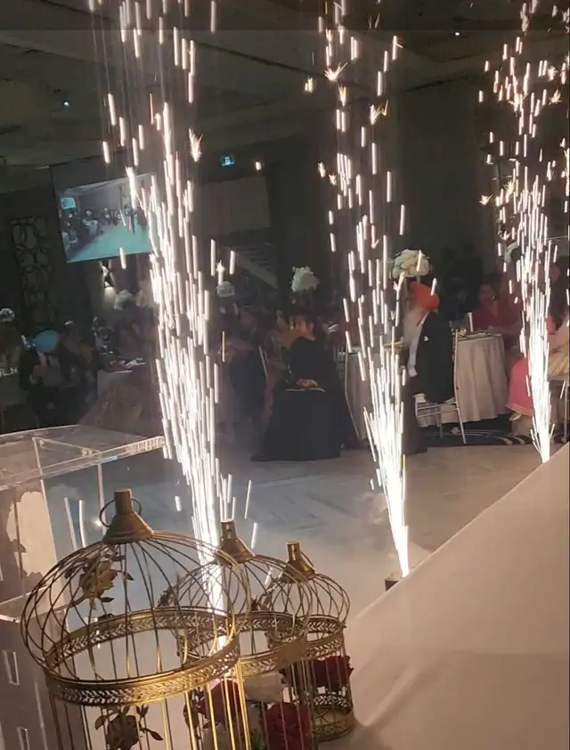 Sparkles and Dry ice fog 63804732554499120