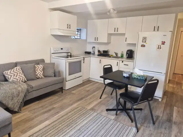 3.5-Room Apartment, Lease Termination