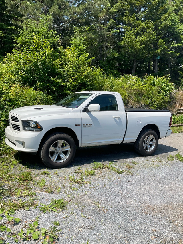 2017 Dodge Ram 1500 Sport Reg Cab 4x4 Shorty in Cars & Trucks in Saint John - Image 2