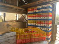 Poultry transport Crates