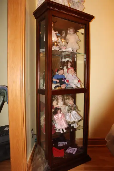 Showcase Cabinet, View more