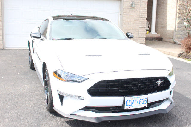2020 Mustang GT/California Special in Cars & Trucks in St. Catharines - Image 2