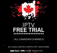  TV viewing trial call 647-331-3038