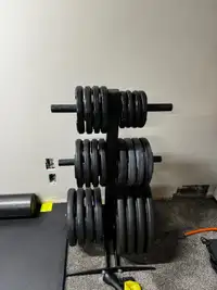 390lbs 2” Weight Plates with Adjustable Dumbbell Handles