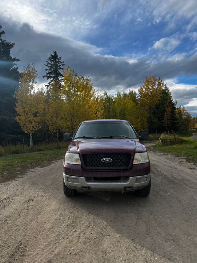 2004 F-150 in Cars & Trucks in Red Deer - Image 2