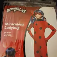 Miraculous ladybug Halloween costume