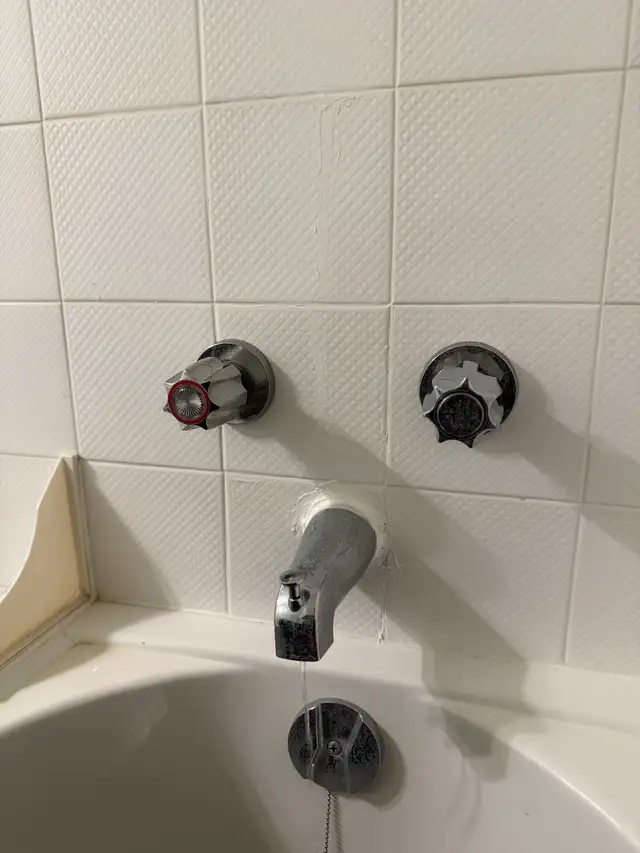 Licensed Plumber 453872246619514885