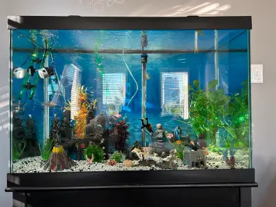 FULLY EQUIPPED 65-70 gallon aquarium setup, View more
