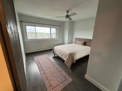 Welcome to Millidgeville neighbourhood! This newly renovated and bright 1 bedroom + 1 bathroom apart...