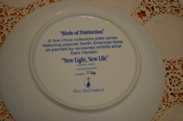 Vintage Decorative Plate in Arts & Collectibles in Renfrew - Image 3