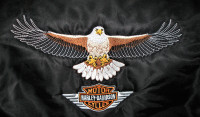 Manteau Harley Davidson pour homme 3XL