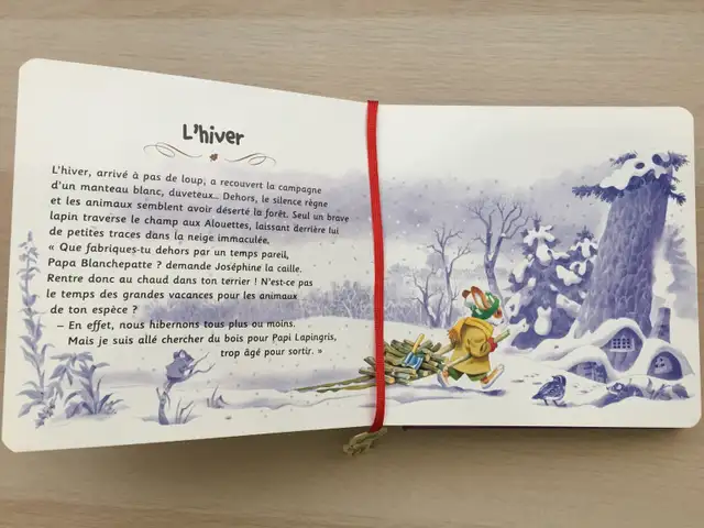 Little Stories of the Four Seasons Book (2 years +)63417655183747122