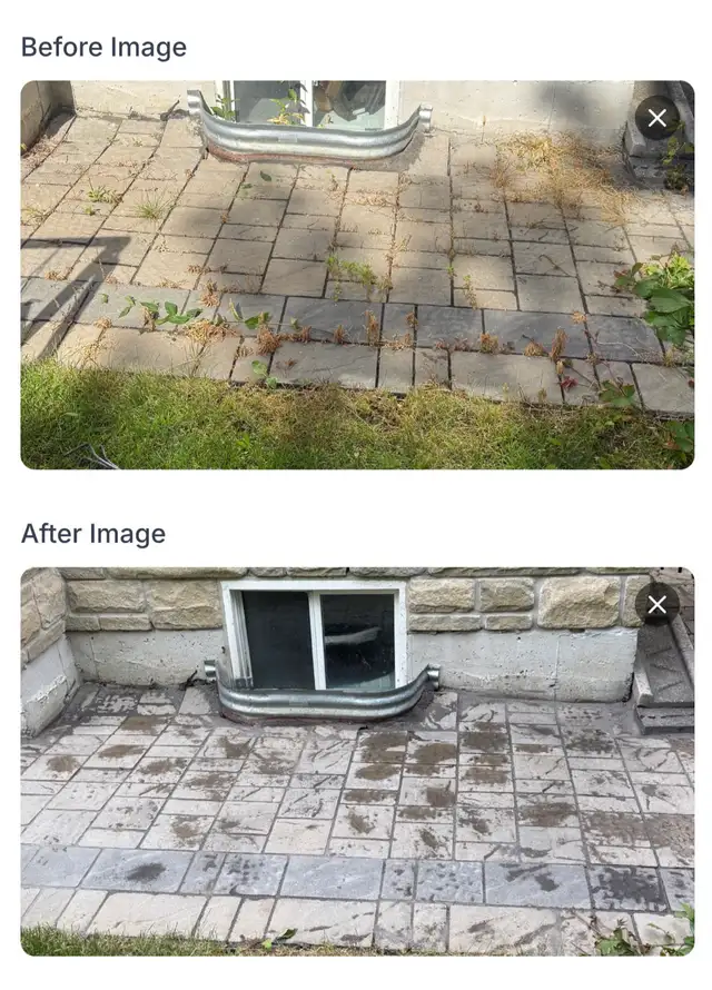 Leaf Raking, Weed removal,  Tree Cut,Mulch, & Tree cut services in Lawn, Tree Maintenance & Eavestrough in City of Toronto - Image 4