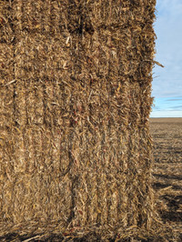 Corn Stover Bales - 3x4, truckload delivery