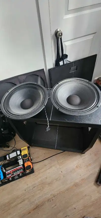 Two 12" Celestion speakers, View more