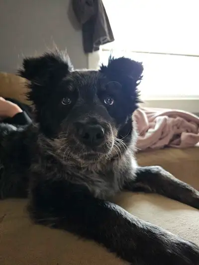 Great little girl! 6 months old I feel we don't have enough space to make her happy. She would do be...