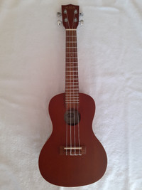 New Ukelele with case and tuner