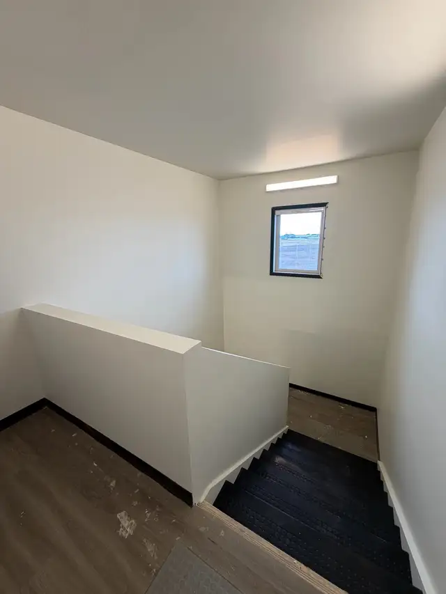 Painter needed524412526443243523